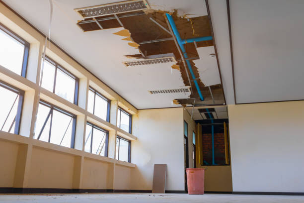 Best Local water damage restoration  in Maurice, LA
