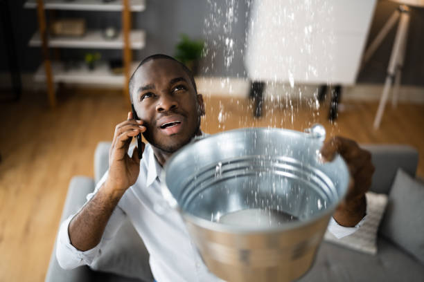 Best Flood damage cleanup  in Maurice, LA