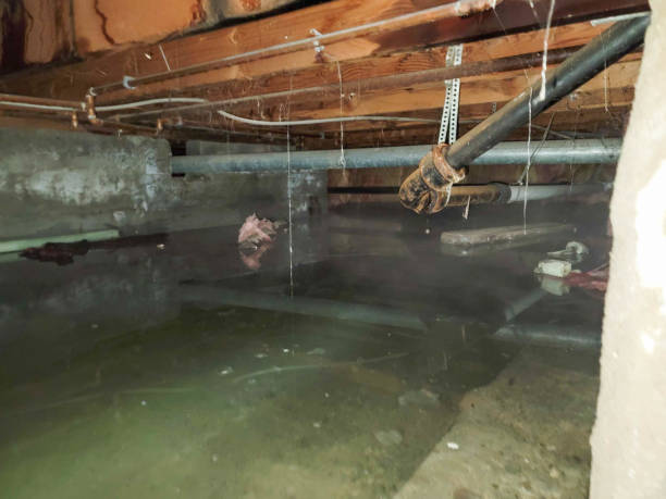 Best Sewage cleanup and water damage restoration  in Maurice, LA