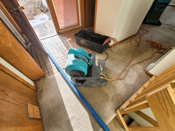 Best Water damage restoration near me  in Maurice, LA