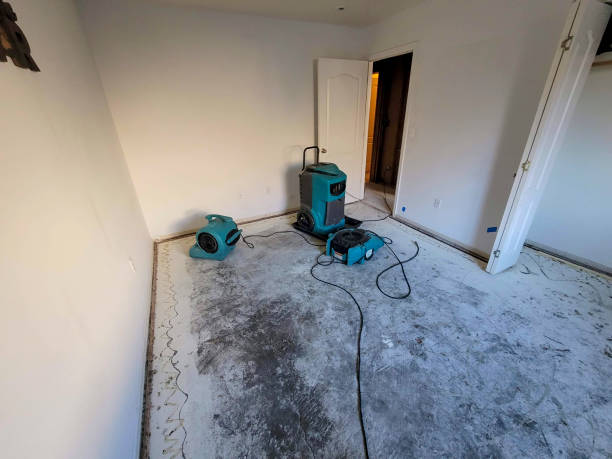 Best Mold removal after water damage  in Maurice, LA