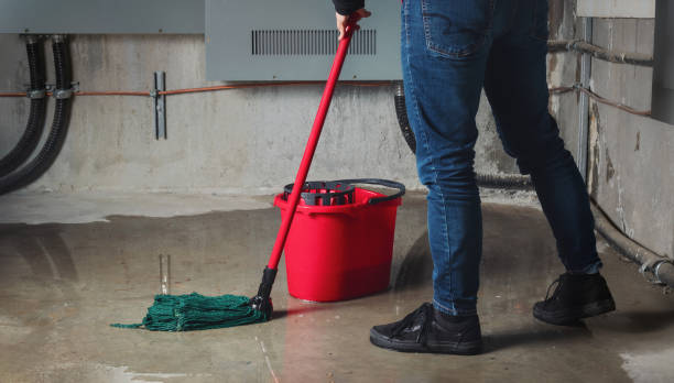 Best Flood damage cleanup  in Maurice, LA