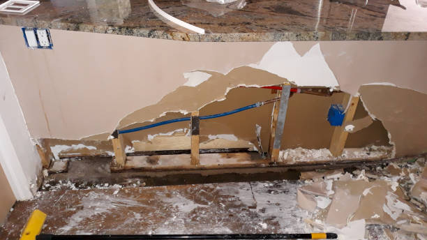 Best Flood damage cleanup  in Maurice, LA