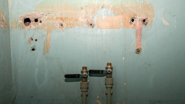  Maurice, LA Water damage restoration Pros