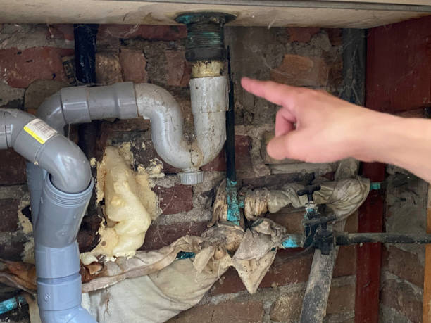 Best Basement water damage restoration  in Maurice, LA