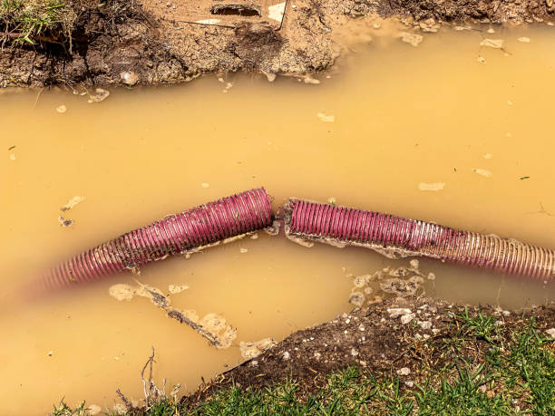Best Water damage cleanup near me  in Maurice, LA